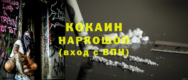 винт Инта