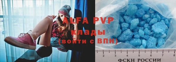 винт Инта