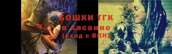 прущая мука Инсар
