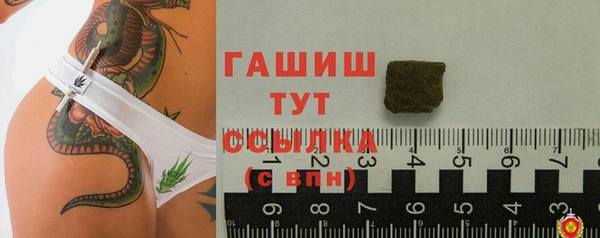 винт Инта