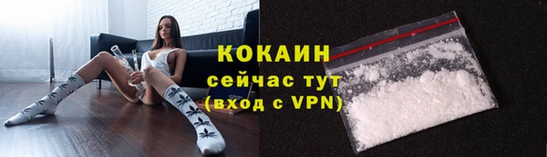 винт Инта