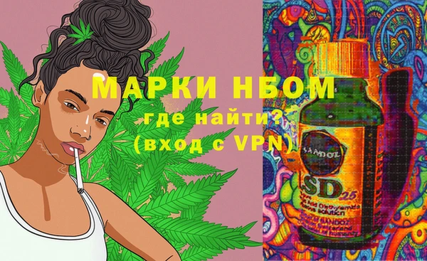 прущая мука Инсар