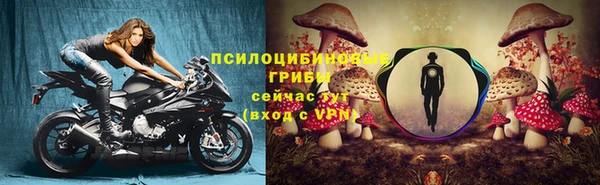 прущая мука Инсар