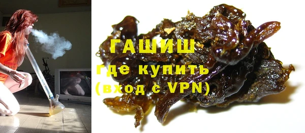 винт Инта